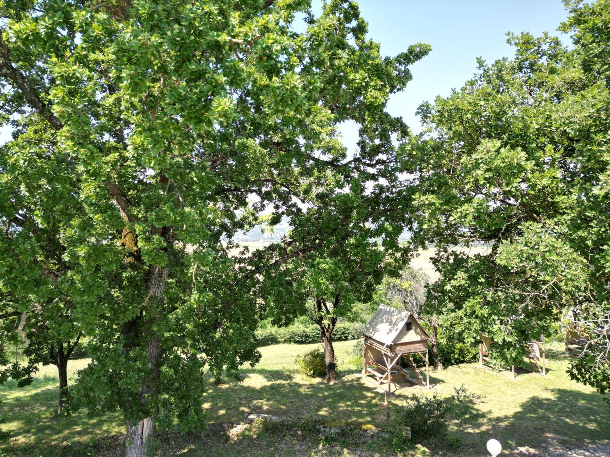 Camping Domaine De Senaud Albon Ngoại thất bức ảnh